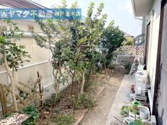 南向きのお庭